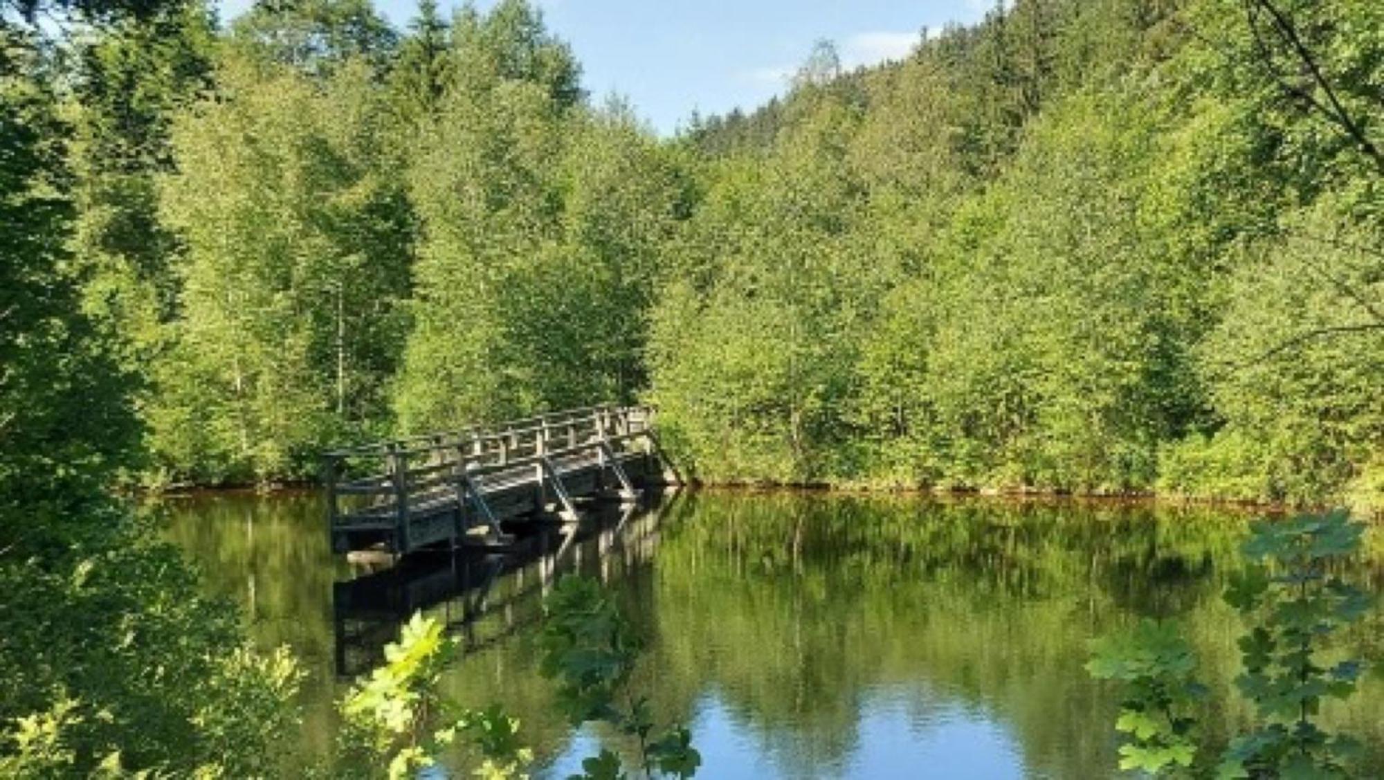 Grundhof Villa Oberprechtal Dış mekan fotoğraf