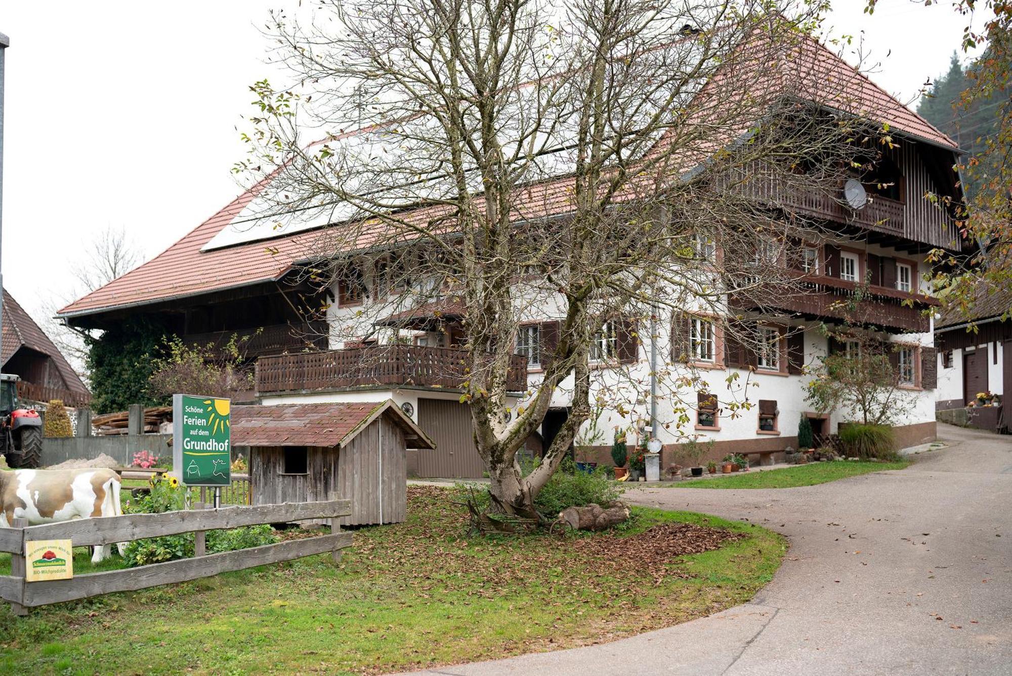Grundhof Villa Oberprechtal Dış mekan fotoğraf